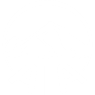 AIA Logo